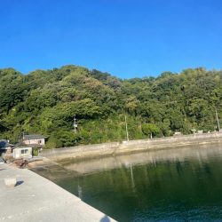 やっぱり小さい………