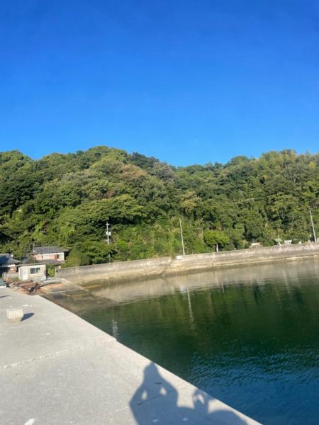 やっぱり小さい………