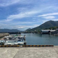 ようやくお持ち帰りサイズゲット‼️