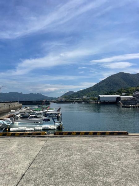 ようやくお持ち帰りサイズゲット‼️