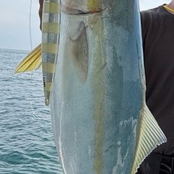 オフショアジギング