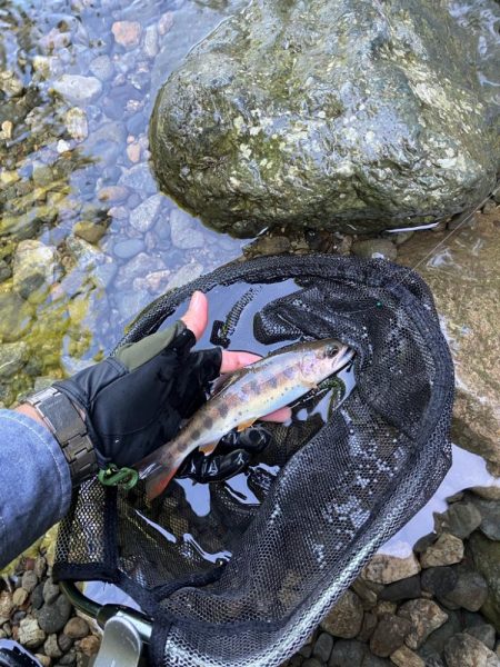 今シーズンラスト渓流