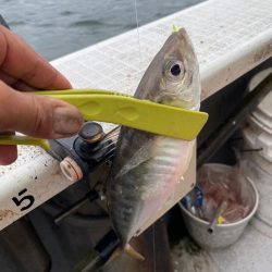 アジサビキいいね！