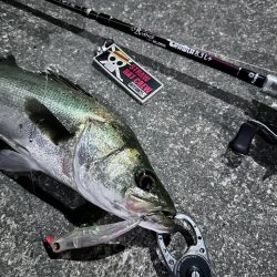 悶絶を耐えれば至福の時！