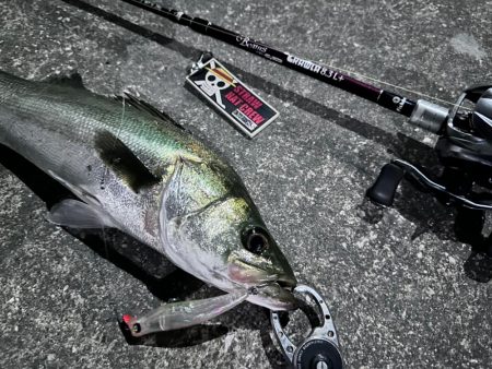 悶絶を耐えれば至福の時！