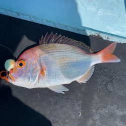 オフショアライトゲーム