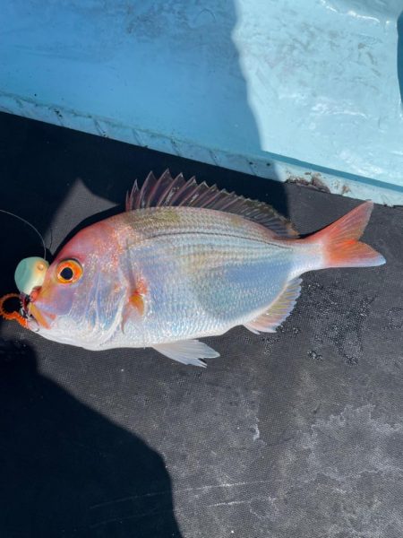 オフショアライトゲーム