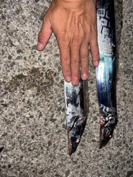 限定的なつりやね