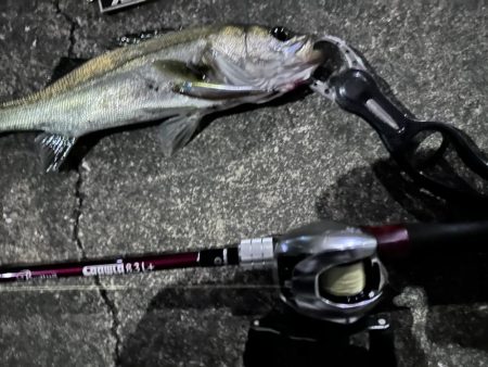 一撃必殺！良きルアーならバスルアーとかは関…