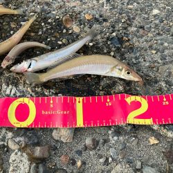 今季最後かな？極太キス♡