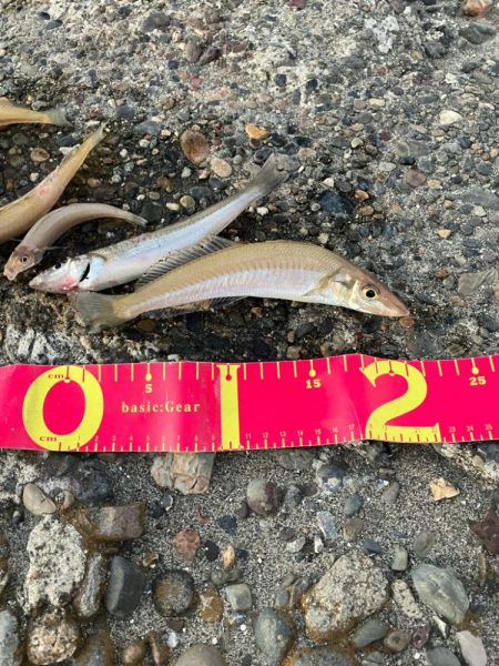 今季最後かな？極太キス♡