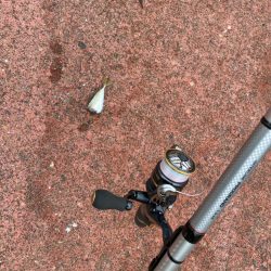 ヤエンチャレンジ！