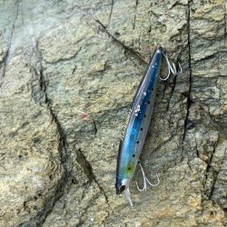 久しぶりのショア青物