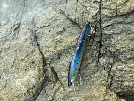 久しぶりのショア青物