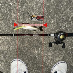 一群ルアー総動員で挑んだけど…