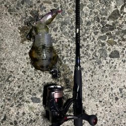 淡路島遠征ー！