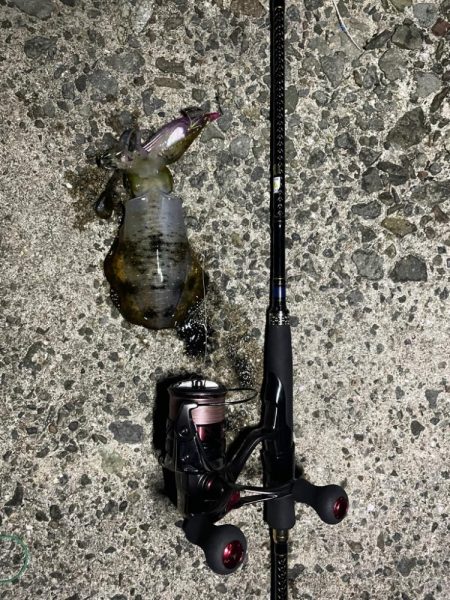 淡路島遠征ー！