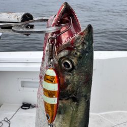 サワラ/ブレードジギング