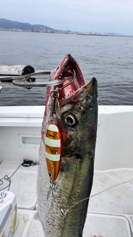 サワラ/ブレードジギング