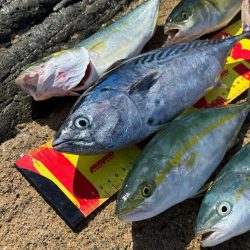 ほんとの磯デビュー