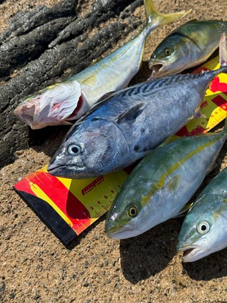 ほんとの磯デビュー