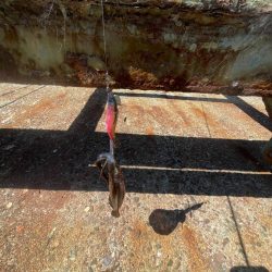 やっぱり小さい