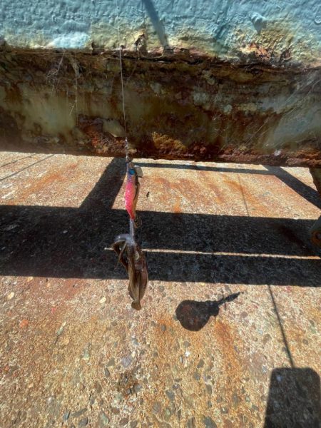 やっぱり小さい