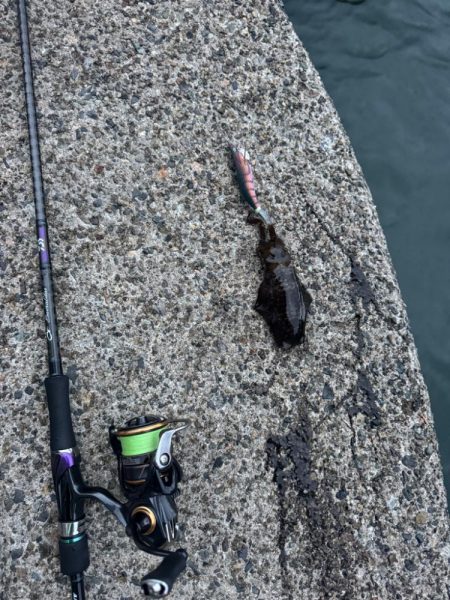 仕事終わりにちょいエギング