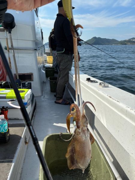 3度目のティップランエギング