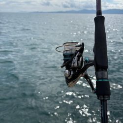 廃盤カラーロスト…