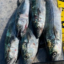 3連休　釣り三昧‼️