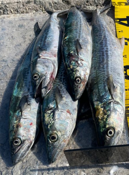 3連休　釣り三昧‼þ…