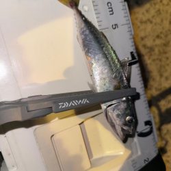 隣にはまさかのYouTuberさん達！？