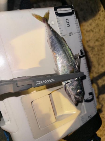 隣にはまさかのYouTuberさん達！？