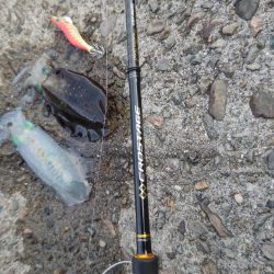 Teamゲッソー調査隊