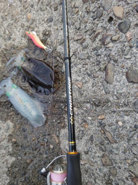 Teamゲッソー調査隊