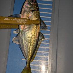 エギングとフロートリグ