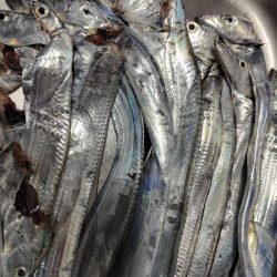 白灯台で刀狩り