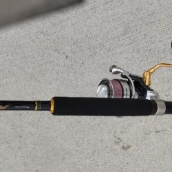 初めてのサヨリ釣り