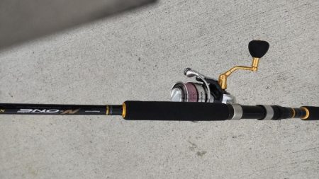 初めてのサヨリ釣り