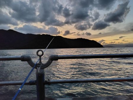 夕マヅメサビキ