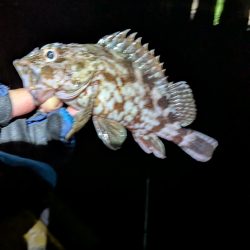 皆さん、何を。