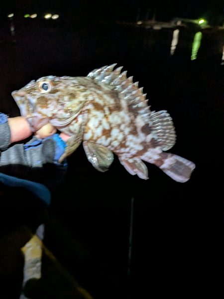 皆さん、何を。