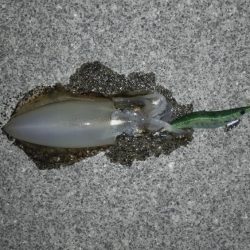 集中して下さい！