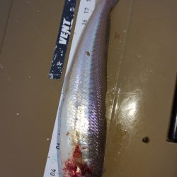 暗くなるのが早くなりました