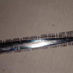 今年初太刀魚調査＆予期せぬ外道も