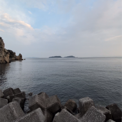 コロッケ釣れた