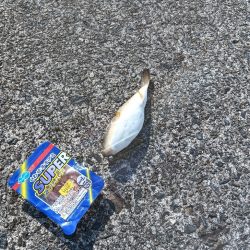 小松島ライトデイゲーム