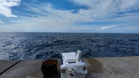 2025秋の青物シーズン開幕