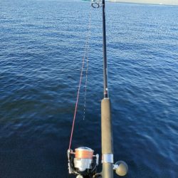 9月最終日にサゴシ